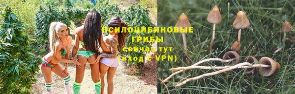 альфа пвп Касимов